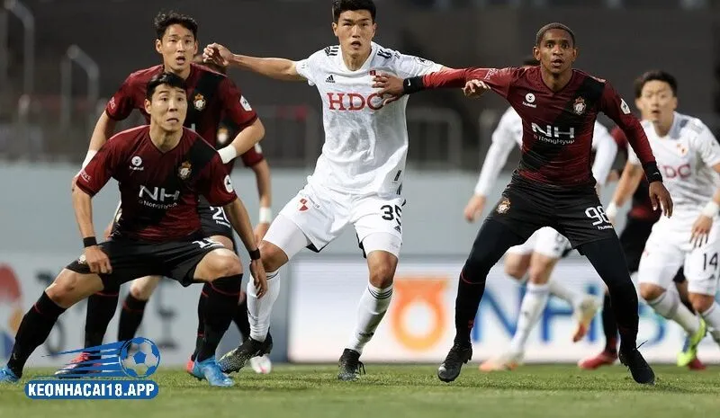 Kinh nghiệm cá cược K-League cho người mới 